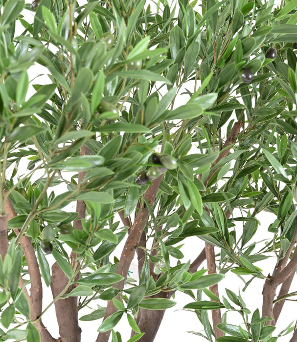 Ulivo Artificiale Gigante Per La Decorazione Esterna