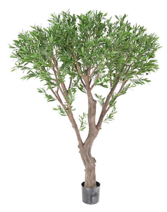 Ulivo Artificiale Gigante Per La Decorazione Esterna