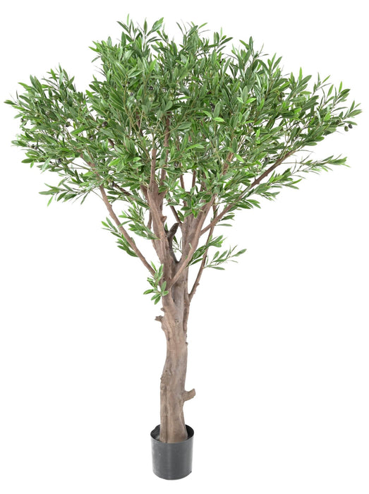 Ulivo Artificiale Gigante Per La Decorazione Esterna
