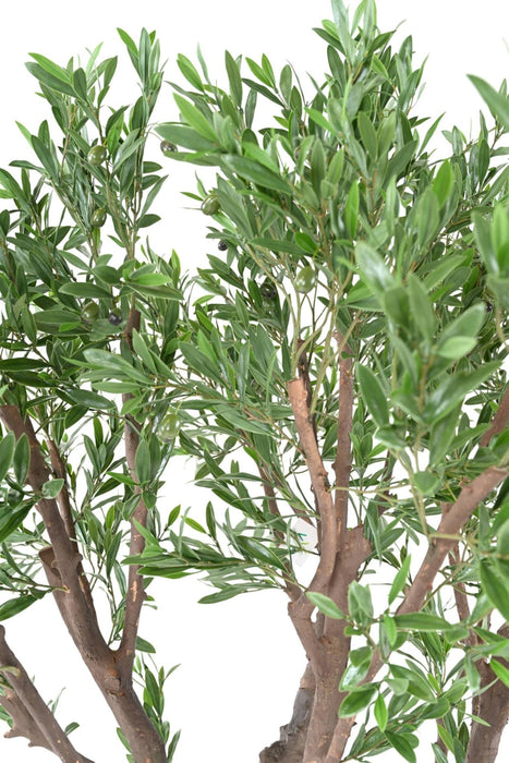 Ulivo Artificiale Gigante Per La Decorazione Esterna