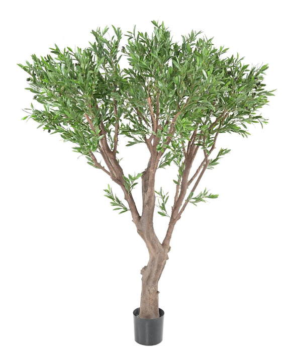 Ulivo Artificiale Gigante Per La Decorazione Esterna