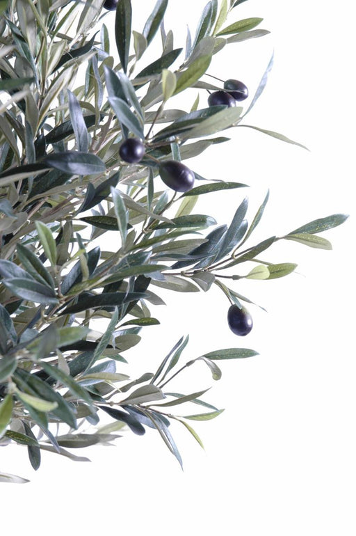 Pianta Decorativa Per Interni, Ulivo Artificiale, 180 Cm