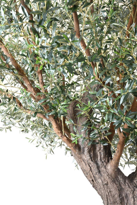 Olivo Artificiale Da Interno 390Cm Su Piastra