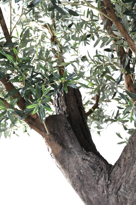 Olivo Artificiale Da Interno 390Cm Su Piastra