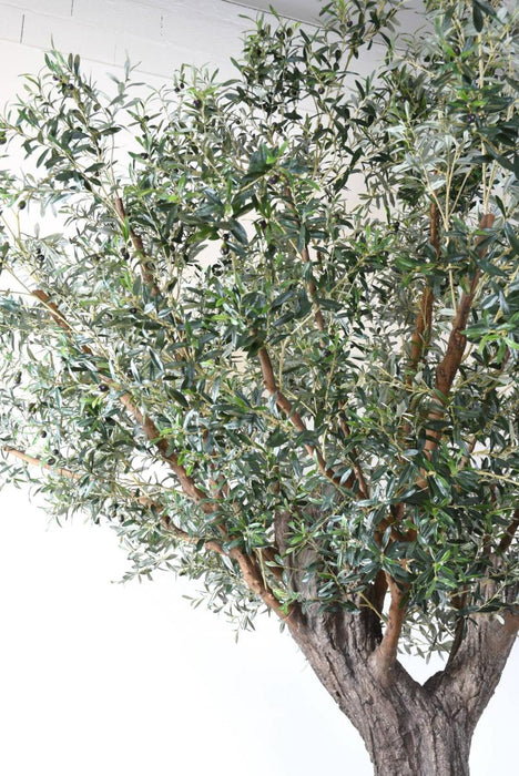 Olivo Artificiale Da Interno 390Cm Su Piastra