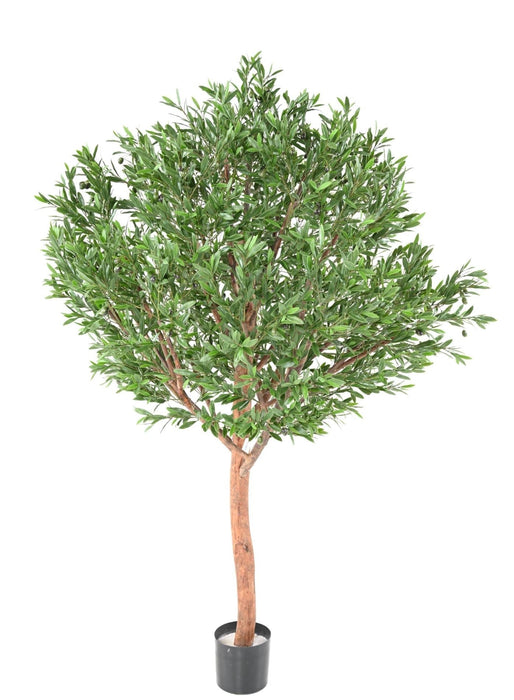 Olivo Artificiale Per Decorazione Esterno 210 Cm