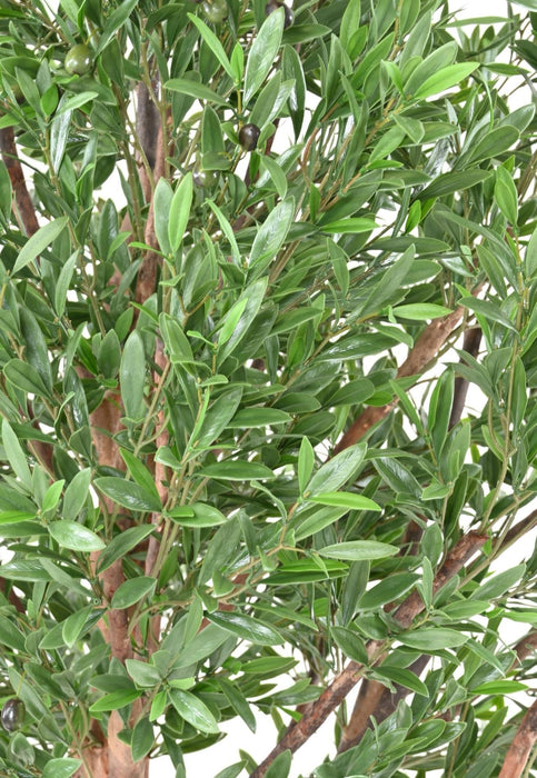 Olivo Artificiale Per Decorazione Esterno 210 Cm