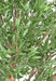 Olivo Artificiale Per Decorazione Esterno 210 Cm