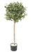 Olivo Artificiale Per Interni 120Cm Verde