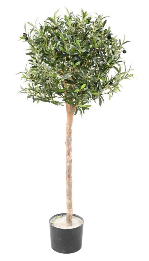 Olivo Artificiale Per Interni 120Cm Verde