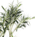 Olivier - Fogliame Artificiale