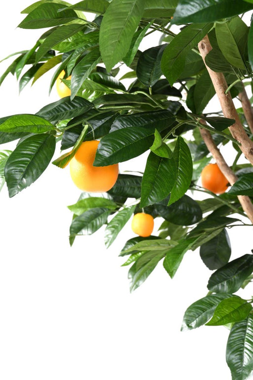 Arancio Artificiale 250 Cm Per Interni