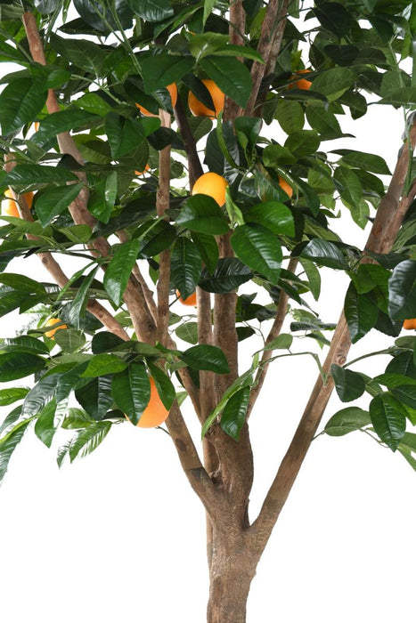 Arancio Artificiale 250 Cm Per Interni