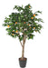 Arancio Artificiale 250 Cm Per Interni