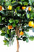 Arancio Artificiale In Vaso 125 Cm Con Frutti