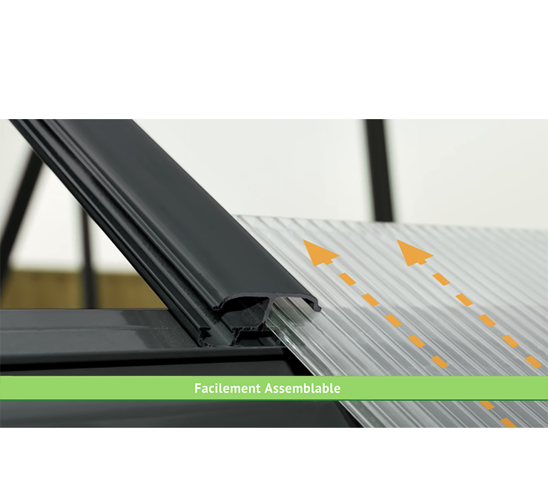 Aranciera Della Vittoria 11,1 M²