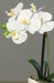 Orchidea Artificiale Con Vaso In Ceramica Bianca 30Cm