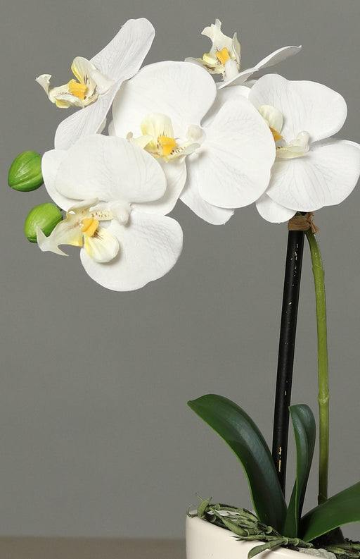 Orchidea Artificiale Con Vaso In Ceramica Bianca 30Cm