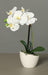 Orchidea Artificiale Con Vaso In Ceramica Bianca 30Cm