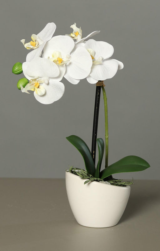 Orchidea Artificiale Con Vaso In Ceramica Bianca 30Cm