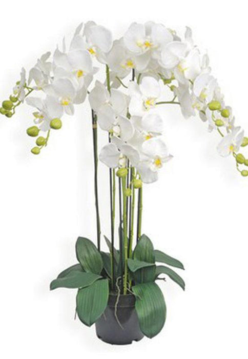 Orchidea Artificiale In Vaso 90 Cm Bianca