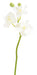 Orchidea Phalaenopsis Artificiale 3 Fiori Bianchi 45 Cm