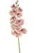 Orchidea Artificiale Real Touch Deluxe Fucsia/Bianco