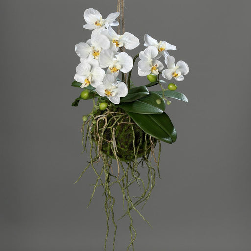 Orchidea Artificiale Sospesa 43 Cm Decorazione Per Interni