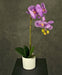 Orchidea Artificiale Rosa In Vaso Bianco