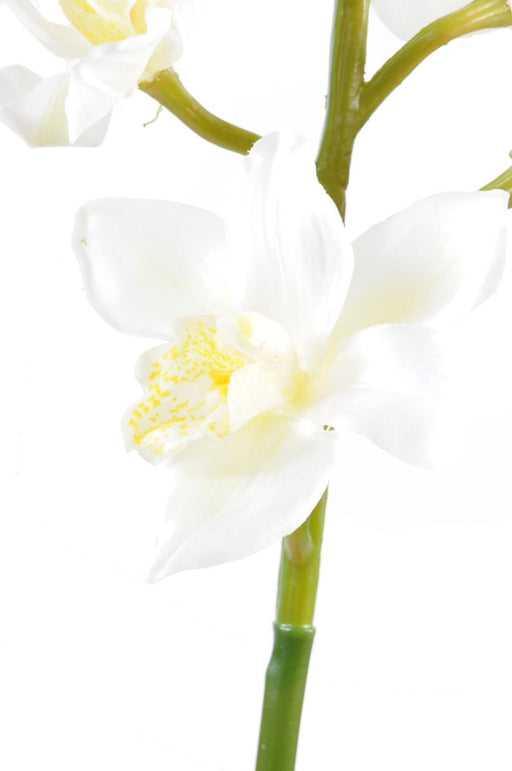 Orchidea Cymbidium Artificiale 100Cm Bianca