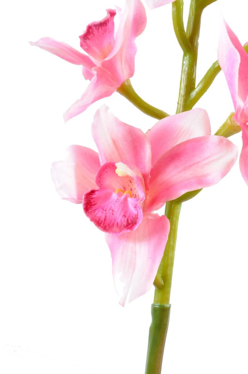 Orchidea Cymbidium Artificiale 100Cm Rosa