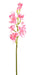 Orchidea Cymbidium Artificiale 100Cm Rosa