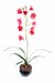 Orchidea Cymbidium Artificiale 80Cm Magenta