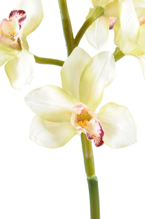 Crema Di Orchidea Cymbidium Artificiale 100 Cm