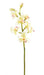 Crema Di Orchidea Cymbidium Artificiale 100 Cm