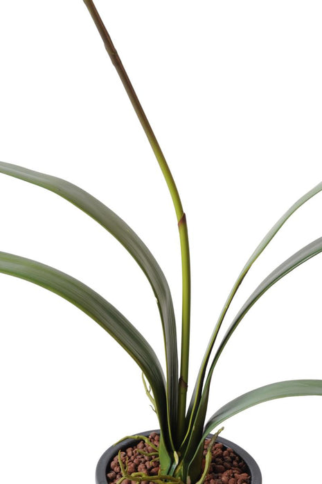 Orchidea Cymbidium Artificiale Gialla 80Cm