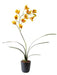 Orchidea Cymbidium Artificiale Gialla 80Cm
