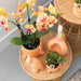 Orchidea Giamaica Arancione Con Vaso Decorativo Pesca
