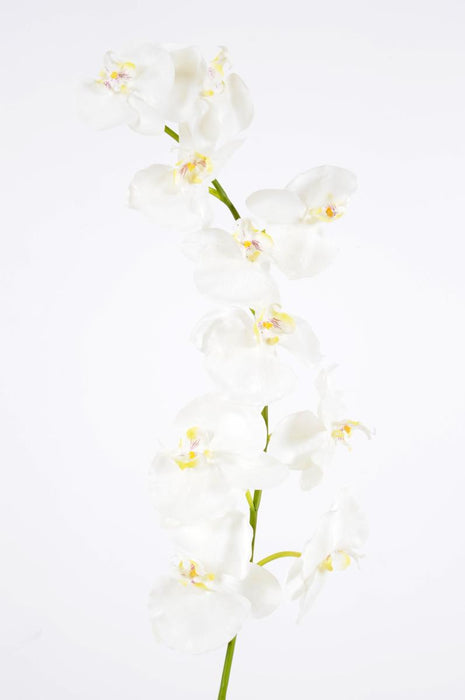Orchidea Phalaenopsis Artificiale 10 Fiori 160 Cm Bianco