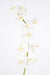 Orchidea Phalaenopsis Artificiale 10 Fiori 160 Cm Bianco