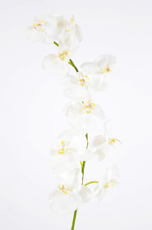 Orchidea Phalaenopsis Artificiale 10 Fiori 160 Cm Bianco