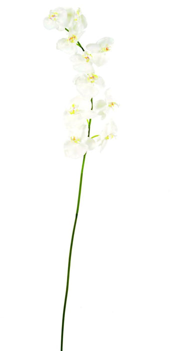 Orchidea Phalaenopsis Artificiale 10 Fiori 160 Cm Bianco