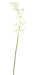 Orchidea Phalaenopsis Artificiale 10 Fiori 160 Cm Bianco
