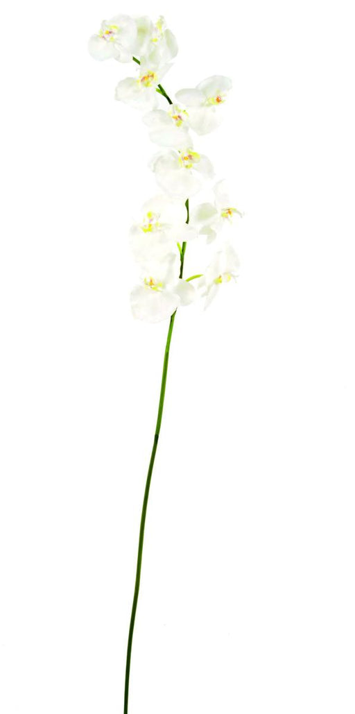 Orchidea Phalaenopsis Artificiale 10 Fiori 160 Cm Bianco
