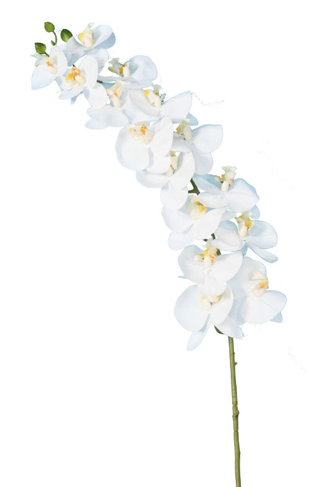 Orchidea Phalaenopsis Artificiale 15 Fiori 125 Cm
