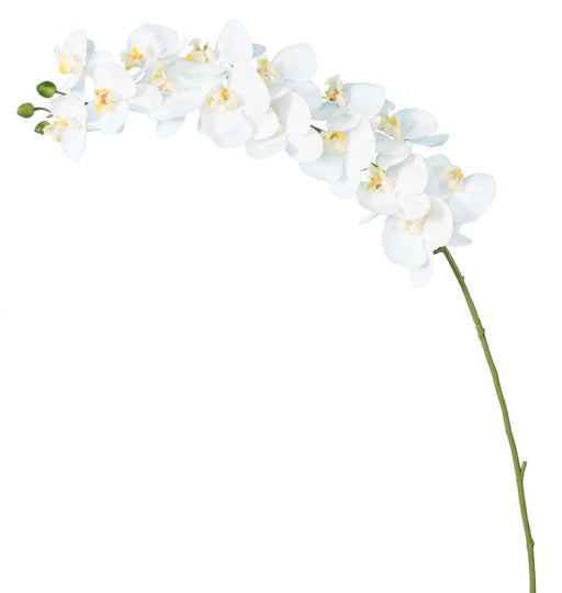 Orchidea Phalaenopsis Artificiale 15 Fiori 125 Cm