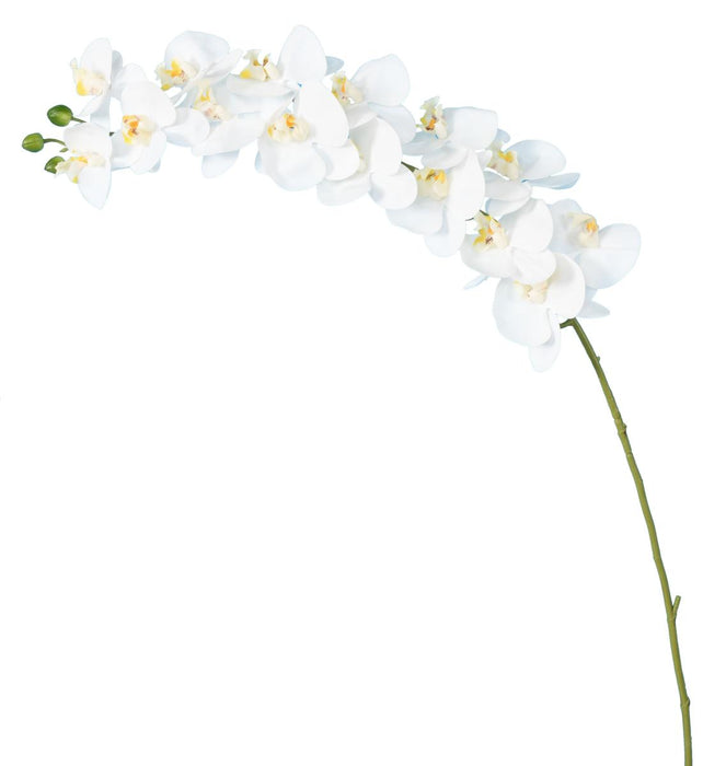 Orchidea Phalaenopsis Artificiale 15 Fiori 125 Cm