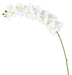 Orchidea Phalaenopsis Artificiale 15 Fiori 125 Cm