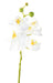 Orchidea Phalaenopsis Artificiale 60 Cm Bianco 6 Fiori