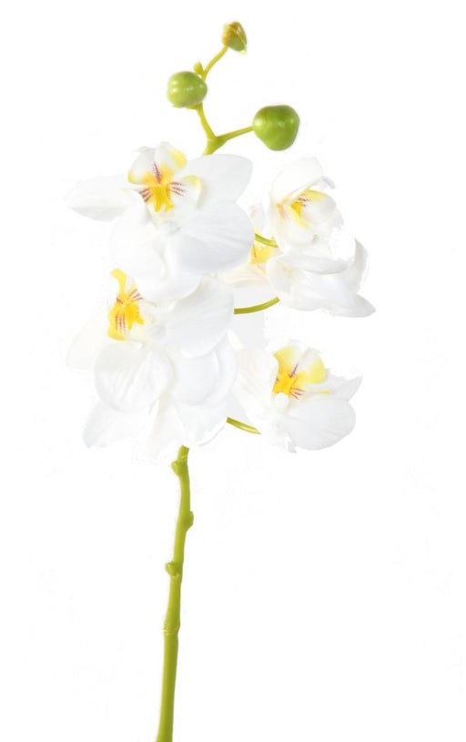 Orchidea Phalaenopsis Artificiale 60 Cm Bianco 6 Fiori